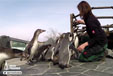 Unter Pinguinen - Folge 5